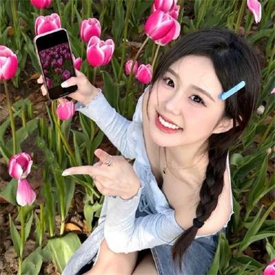 动物