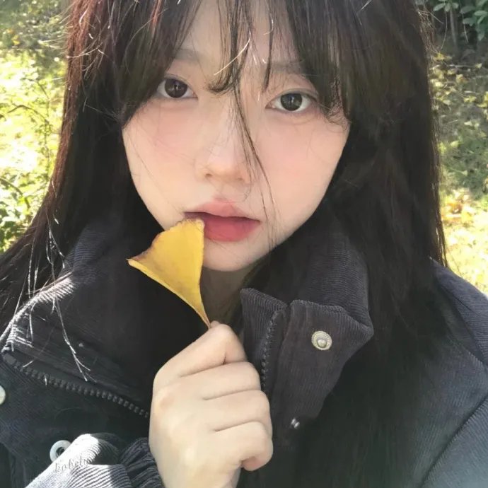 布查